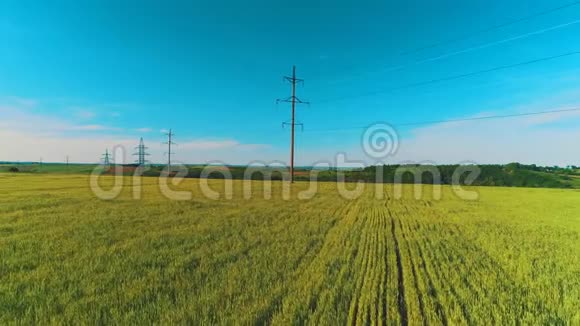 农村地区有农作物和电线杆的宽阔野地的鸟瞰图4K视频的预览图