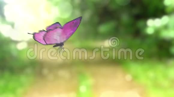 美丽的蝴蝶在森林小径土地上的机器人手漂亮的3D动画4K视频的预览图