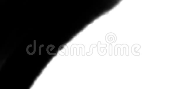 油漆刷黑色卢马马马泰对角线过渡白色背景与几个斯托克斯建设到黑色视频的预览图