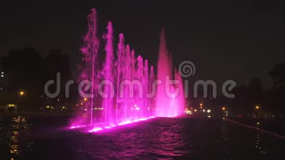 利马神奇水道上的紫色喷泉视频的预览图