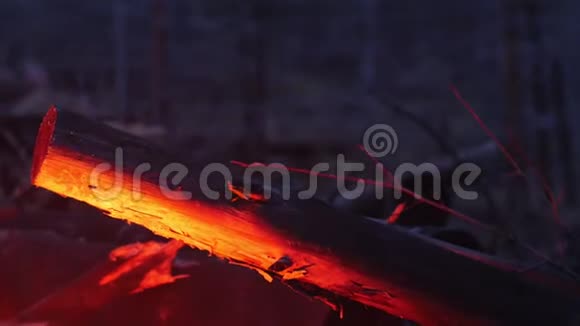 篝火的红光反射在森林里的木头上背景上的铁丝视频的预览图