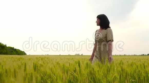 一个年轻的女人在田野里的绿色麦穗中美丽的无忧无虑的女人在麦田里享受大自然视频的预览图