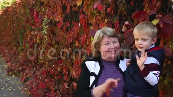 快乐的奶奶把小孙子抱在秋天公园的怀里视频的预览图