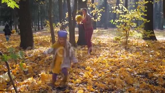 秋天的公园里的树叶和树上的小可爱女孩视频的预览图
