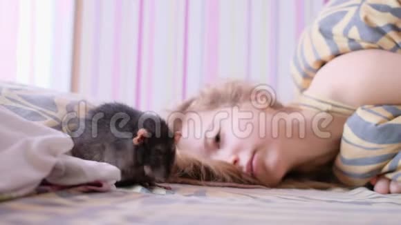 家鼠走在毯子上一个十几岁的女孩躺在床上玩老鼠视频的预览图