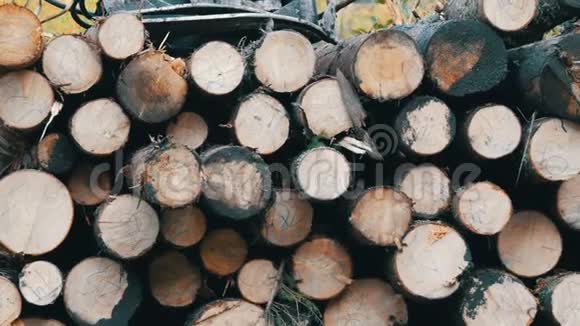一辆装满新鲜锯木的大卡车树干整齐地排成一排卡车上的木材运输视频的预览图