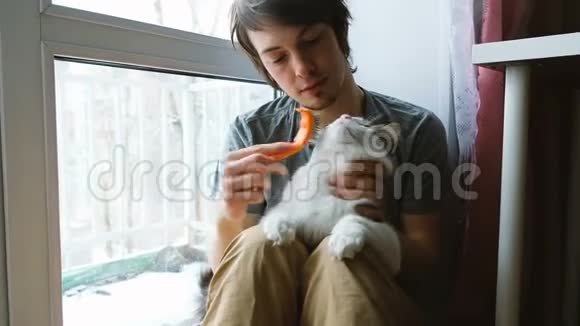 人梳理出一只白猫一个男人看着一只猫坐在家里的地板上慢动作视频的预览图