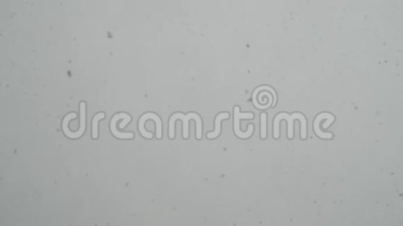 冬天雪在灰暗的天空中缓缓地在120英尺长的地方视频的预览图