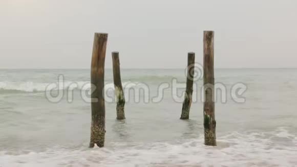 海滩景观视频的预览图
