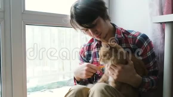 一个男人梳出一只红猫亲吻他的脸视频的预览图