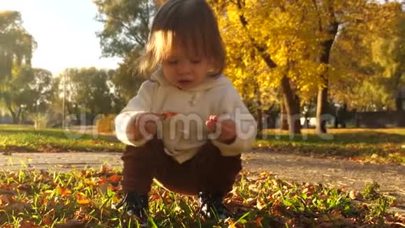 小朋友考虑秋天公园绿色草坪上的黄叶美丽的婴儿在草坪上学习世界视频的预览图