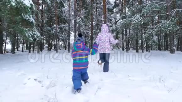 在寒冷的冬天一个快乐的孩子和一个母亲穿过一片白雪皑皑的森林或公园娱乐和户外活动视频的预览图