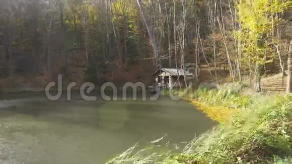 阳光洒在森林湖上视频的预览图
