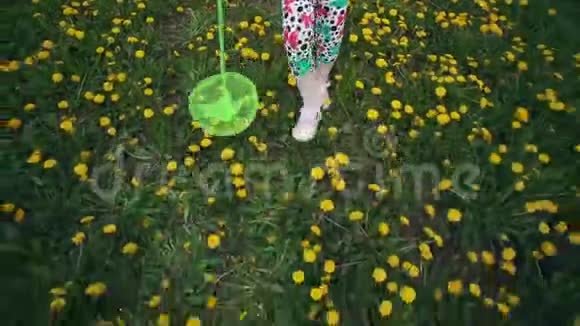 孩子们腿在草地上穿过开花的蒲公英视频的预览图
