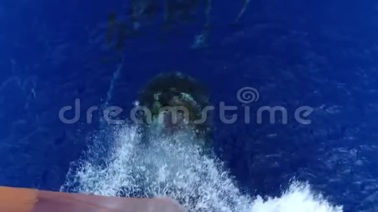 许多海豚在船前跳跃视频的预览图