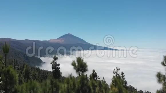 令人惊叹的美丽鸟瞰泰德火山和覆盖着云层的山谷特内里费国家公园视频的预览图