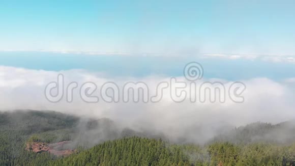 无人机在茂密的绿色森林上空飞过云层山谷上空有很多云西班牙特内里费岛视频的预览图