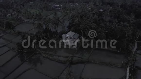 巴厘岛4K机的稻田之夜视频的预览图