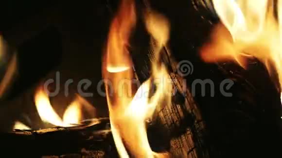 夜晚篝火的特写柴火燃烧篝火的火焰视频的预览图