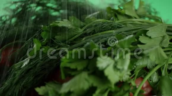 在视频中我们看到西红柿上的草药水从小花片的顶部落下绿色的背景视频的预览图
