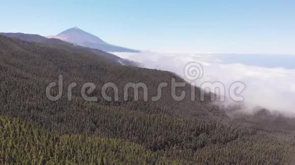 从无人驾驶飞机上可以看到最好的泰德火山一个布满云层的山谷一片茂密的常青森林和一座火山视频的预览图