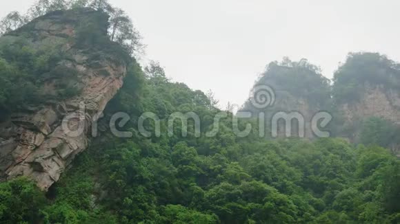 雾中雨中的岩石覆盖着绿树热带森林视频的预览图