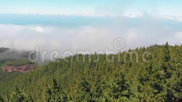 令人叹为观止的空中景观一片茂密的松树森林一条云中的道路和岛上的观景台视频的预览图