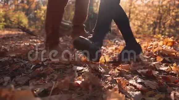 近景的雄性和雌性的脚在森林的干燥的树叶上跳舞视频的预览图