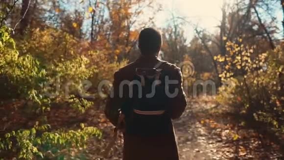 秋天阳光明媚孤独的人在林地漫步回景视频的预览图
