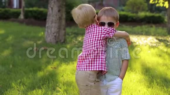 两个戴墨镜的小男孩站在草地上的公园里拥抱视频的预览图
