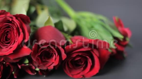 红玫瑰的恐慌镜头视频的预览图