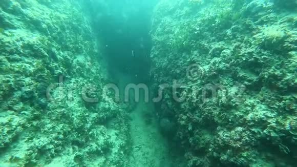 海底洞穴在海中深处视频的预览图