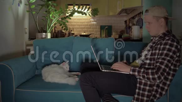 在电脑前沙发上工作的年轻人在沙发上工作的人旁边是一只白猫4K视频的预览图
