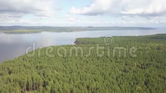 宽阔平静的河流和茂密的针叶林鸟瞰图视频的预览图
