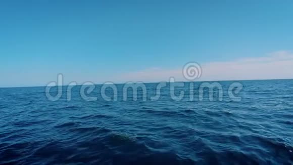 帆船旁边的海豚在海洋中跳跃视频的预览图