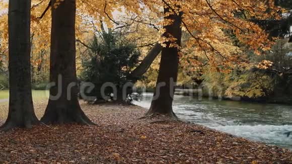 实时拍摄河水的快速流动慕尼黑的英国花园慕尼黑的英国花园是其中之一视频的预览图