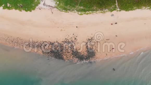 无人机拍摄的沙滩和海景景观视频的预览图