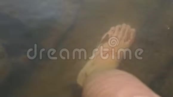 特写男把脚放在石头上的池塘里小鱼游泳视频的预览图