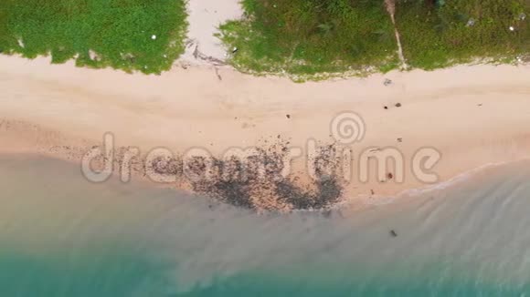 无人机拍摄的沙滩和海景景观视频的预览图