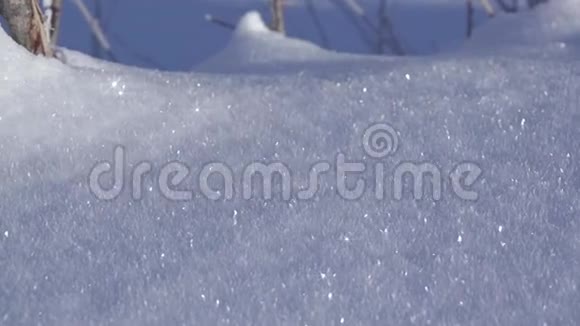 背景与新鲜的闪亮的雪视频的预览图
