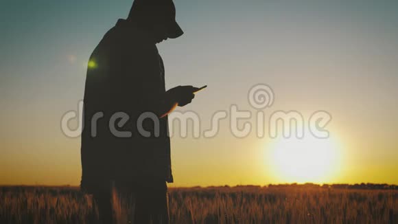 农学家成熟的人在农业农场使用智能手机把手里拿着手机的农民关在田里视频的预览图