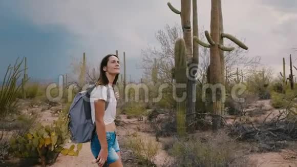 慢动作中镜头快乐的年轻旅游妇女徒步在惊人的野生仙人掌沙漠在亚利桑那州国家公园美国视频的预览图