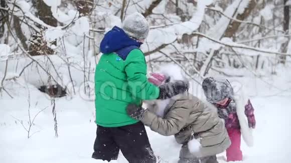 冬季森林开朗微笑的孩子穿着鲜艳的衣服玩雪一个小女孩把她哥哥撞倒视频的预览图