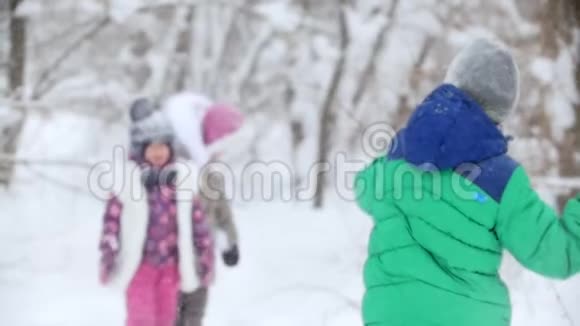 冬季森林一个小男孩向他的姐妹们扔雪视频的预览图