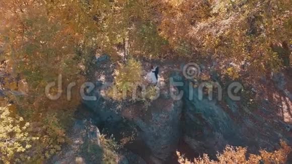在森林公园和新娘新郎新婚夫妇家庭幸福空中射击视频的预览图