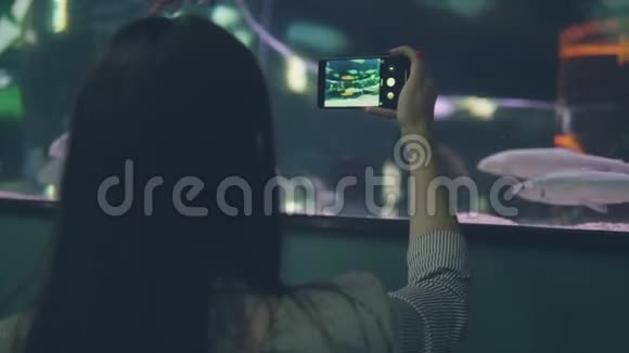 使用手机视频拍摄海洋馆游泳鱼的年轻女子视频的预览图