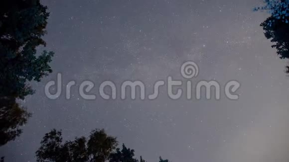 夜星空银河系银河星云时间在黑暗的森林里流逝星空视频的预览图