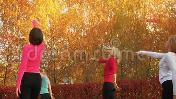 女子团体训练港口德胸罩演习在秋季公园户外练习女性瑜伽女子练习瑜伽健身视频的预览图