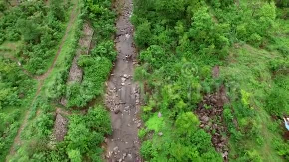 在热带雨林的河流上空飞行视频的预览图