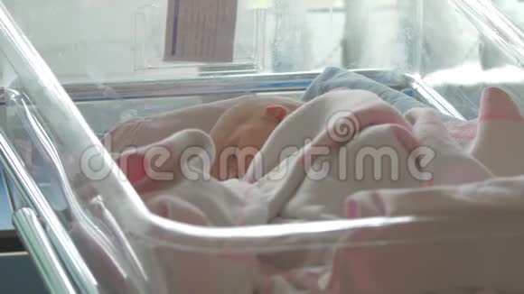 一个刚出生的小女孩躺在医院婴儿车里视频的预览图